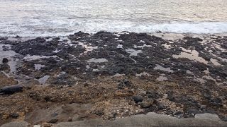 GC-Playa de Arinaga 2026-103.jpg